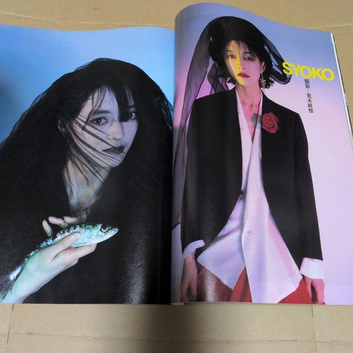 Schmitt syoko boowy kyosuke - schmitt,